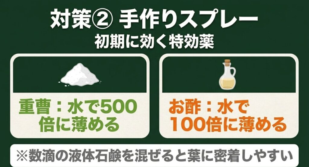 初期に効く特効薬として、重曹や酢を水で薄め、液体石鹸を混ぜて作る手作りスプレーのレシピ