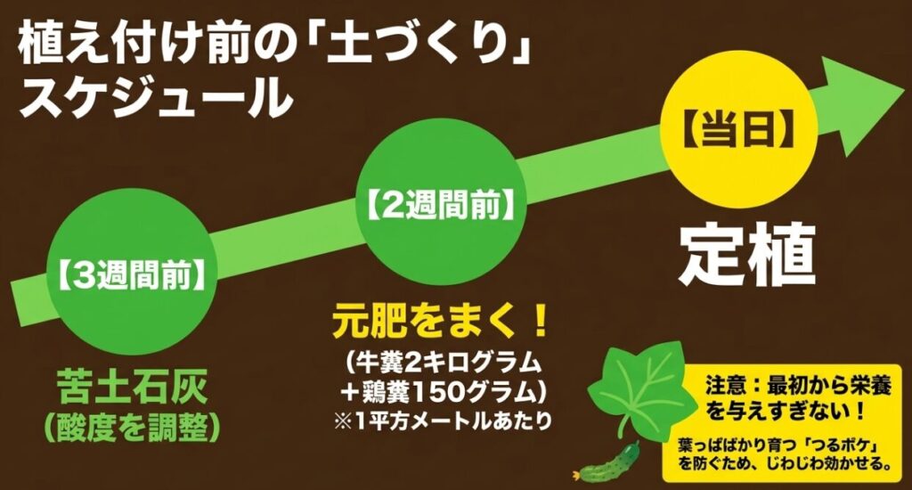 定植3週間前の苦土石灰散布から2週間前の元肥投入までの土づくりスケジュール。つるボケを防ぐための注意点