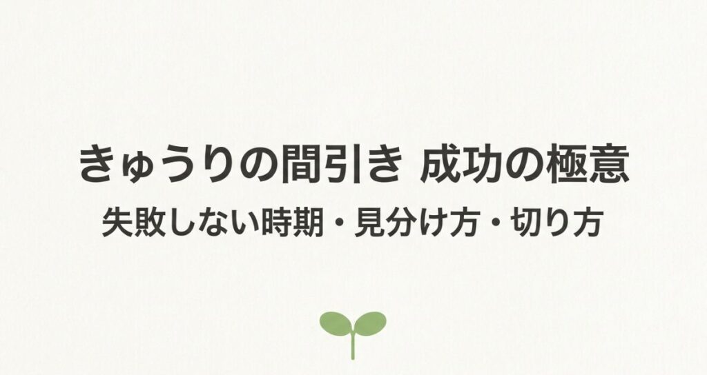 きゅうりの間引き 成功の極意。失敗しない時期・見分け方・切り方