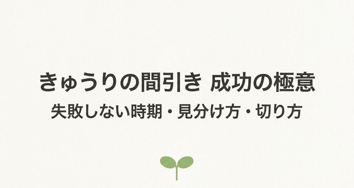 きゅうりの間引き 成功の極意。失敗しない時期・見分け方・切り方