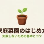 家庭菜園のはじめ方と、失敗しないための基本とコツ