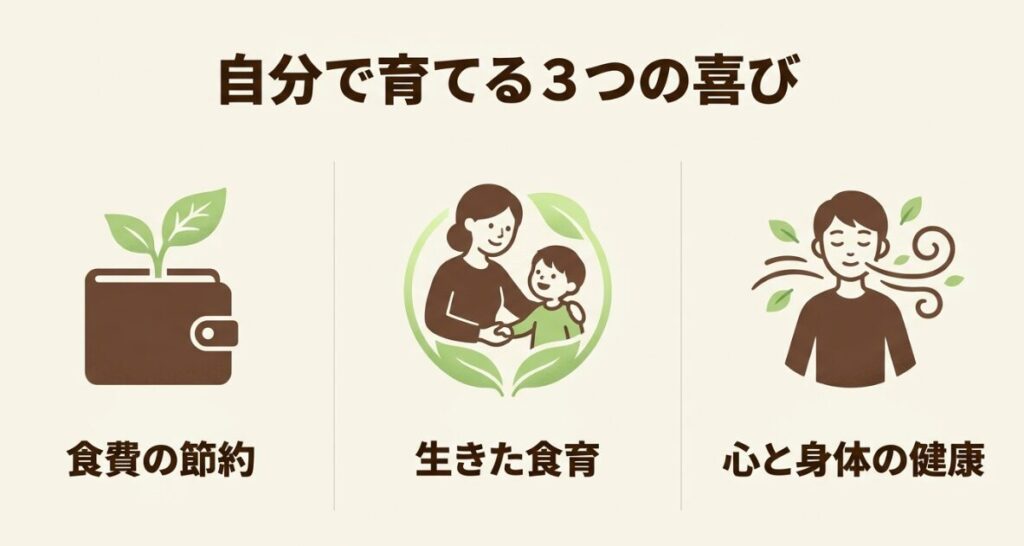 自分で育てる3つの喜びである、食費の節約、生きた食育、心と身体の健康