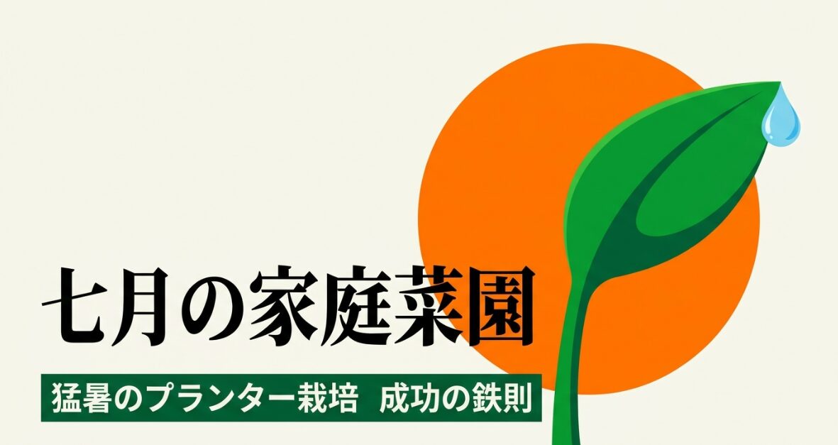 七月の家庭菜園 猛暑のプランター栽培 成功の鉄則と書かれたスライド