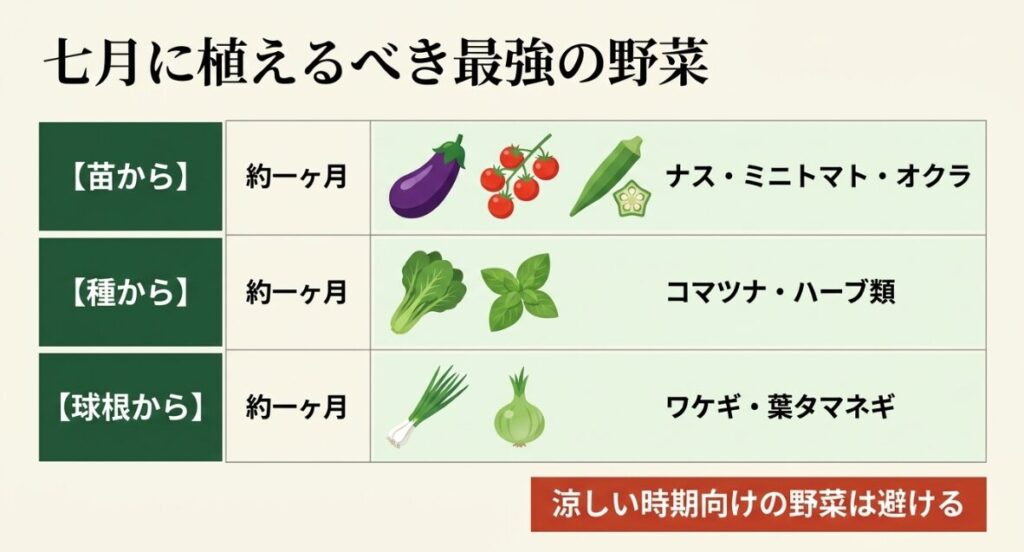 七月に植えるべき最強の野菜。苗からのナス・ミニトマト・オクラ、種からのコマツナ・ハーブ類、球根からのワケギ・葉タマネギをまとめた一覧