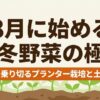 8月に始める秋冬野菜の極意 猛暑を乗り切るプランター栽培と土づくり
