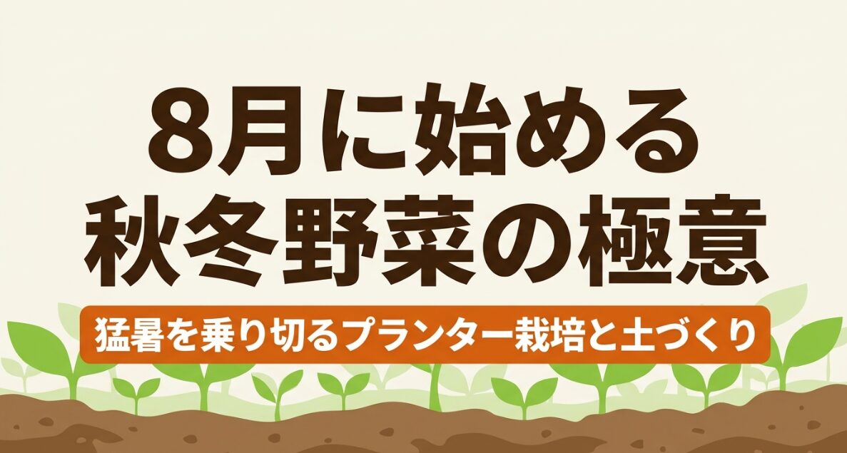8月に始める秋冬野菜の極意 猛暑を乗り切るプランター栽培と土づくり
