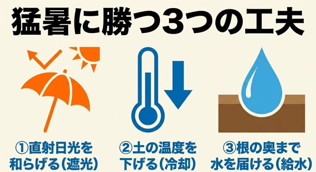 猛暑に勝つ3つの工夫：遮光、冷却、給水