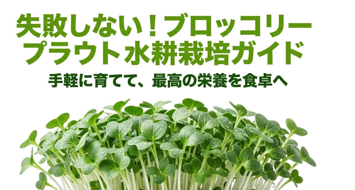 ブロッコリースプラウト水耕栽培ガイドのトップ画像